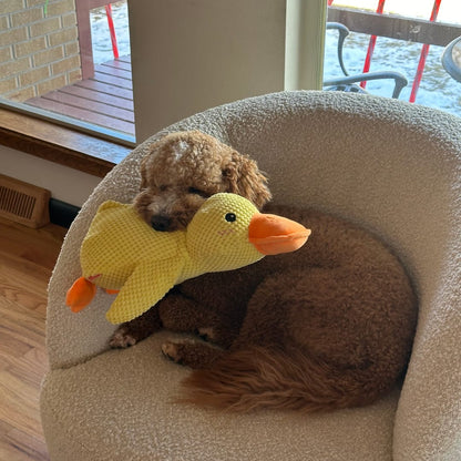 Pato de Apoio Emocional para Cães
