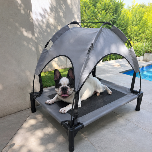 Cama Refrescante Elevada para Cães