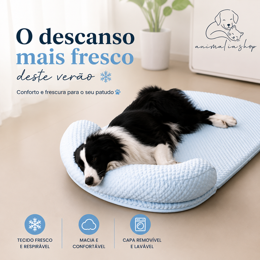 Cama Refrescante Ortopédica para Cães e Gatos