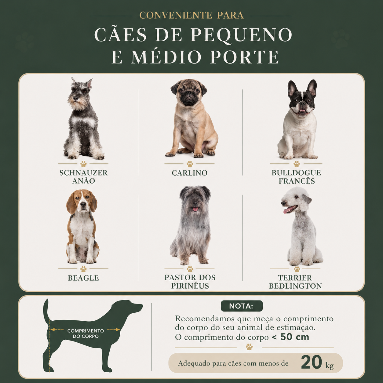 Cama Refrescante Elevada para Cães