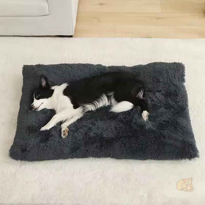 Cama Macia Pelo