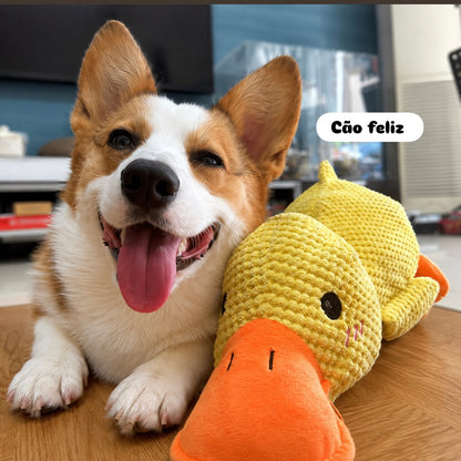 Pato de Apoio Emocional para Cães