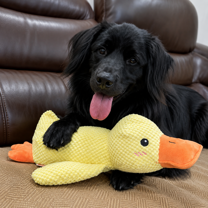Pato de Apoio Emocional para Cães