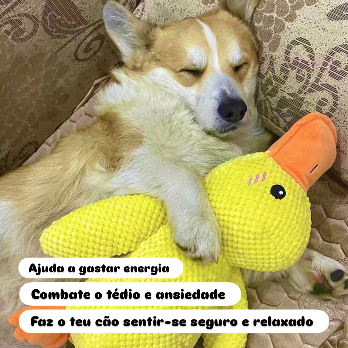 Pato de Apoio Emocional para Cães