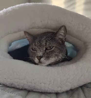Saco para o Inverno