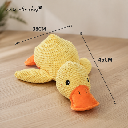 Pato de Apoio Emocional para Cães