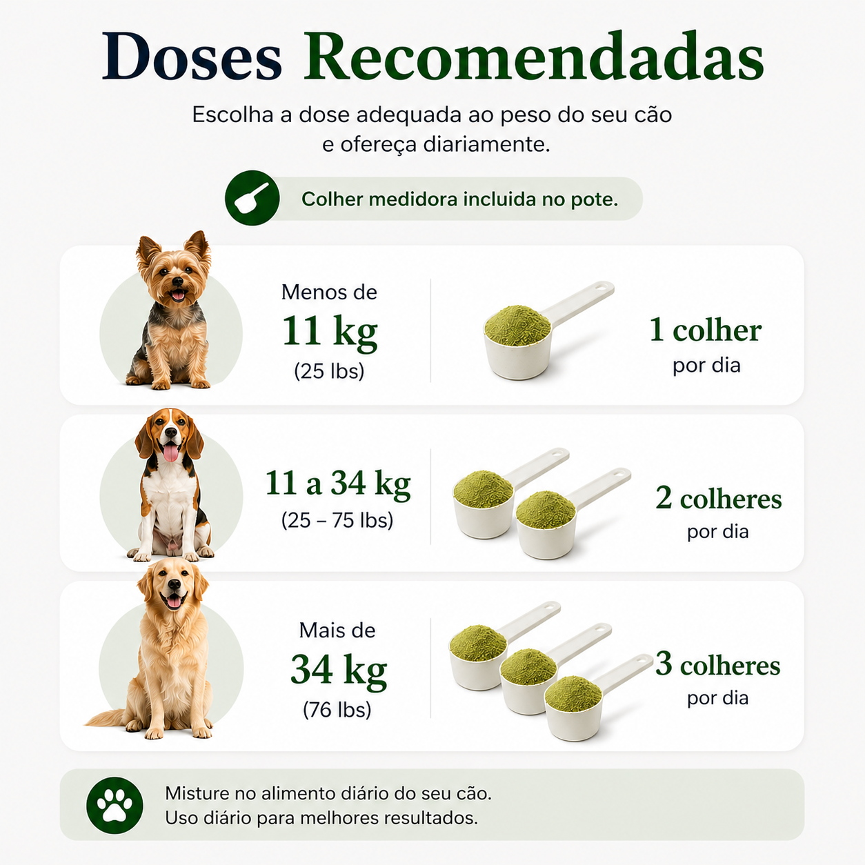 Pó Dental Natural