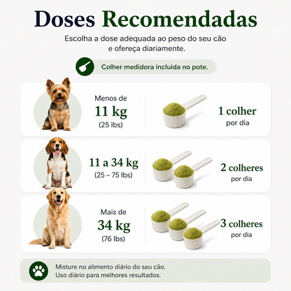 Pó Dental Natural