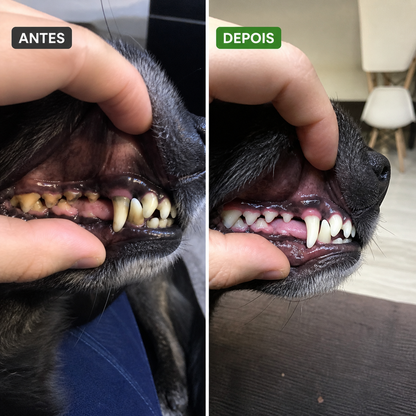 Pó Dental Natural