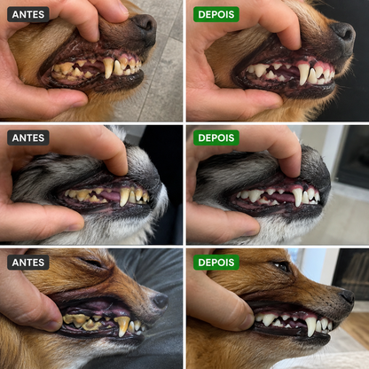 Pó Dental Natural