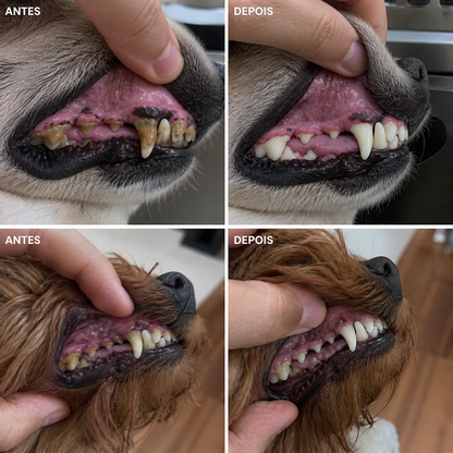 Pó Dental Natural