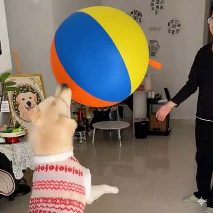 Bola Jumbo Calmante