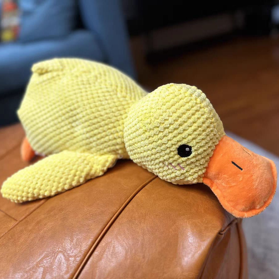 Pato de Apoio Emocional para Cães