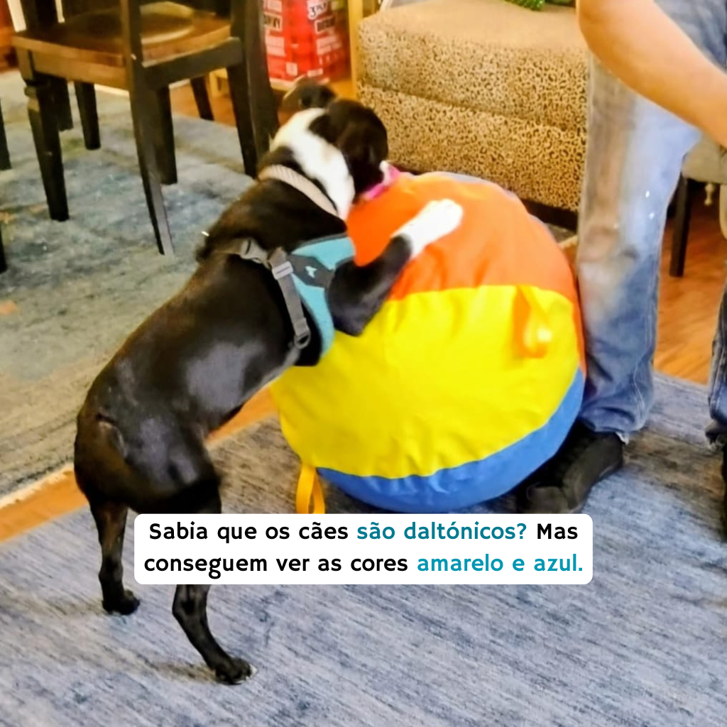 Bola Jumbo Calmante