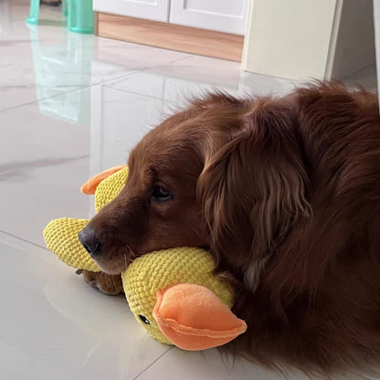 Pato de Apoio Emocional para Cães